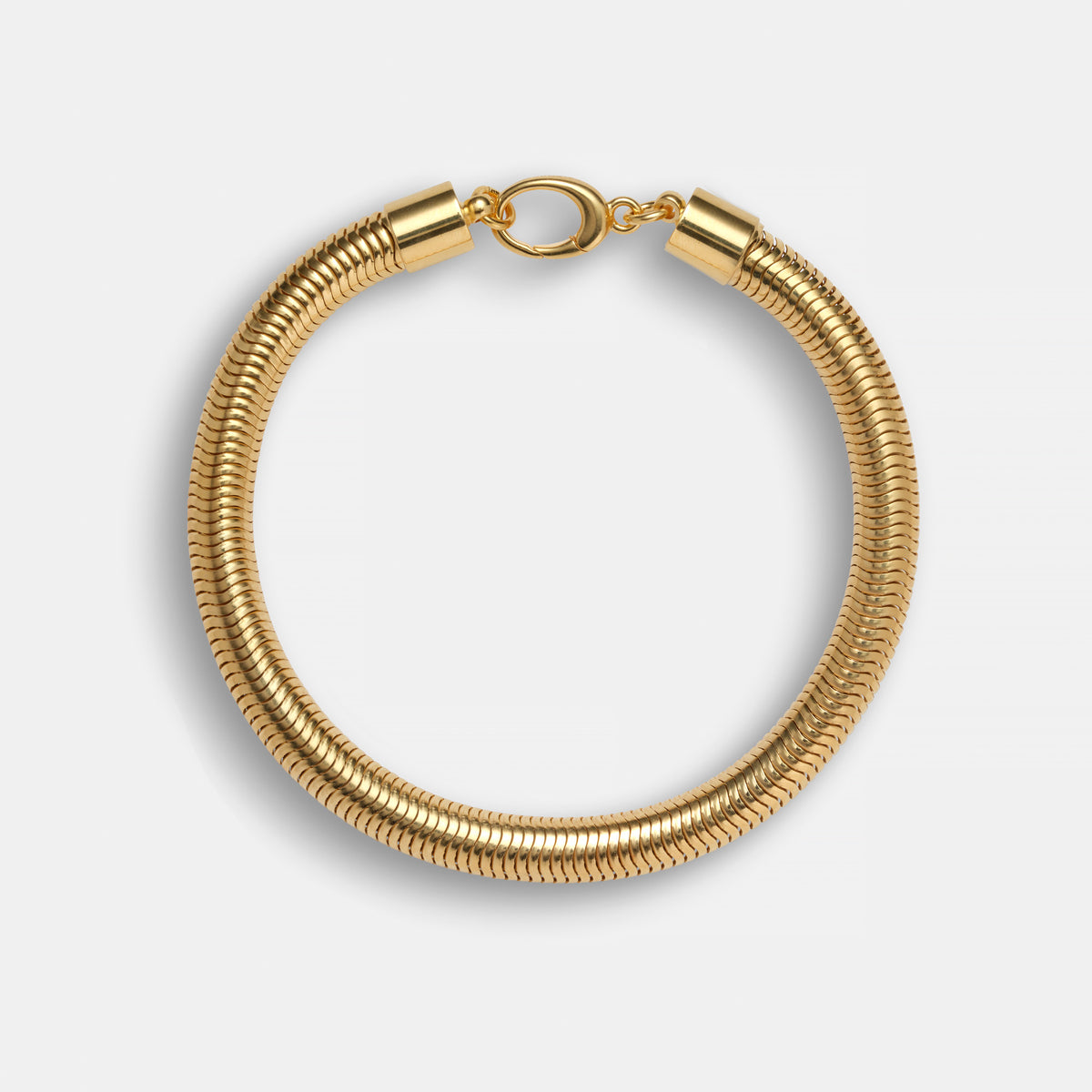 Serpentine Anklet in Gold