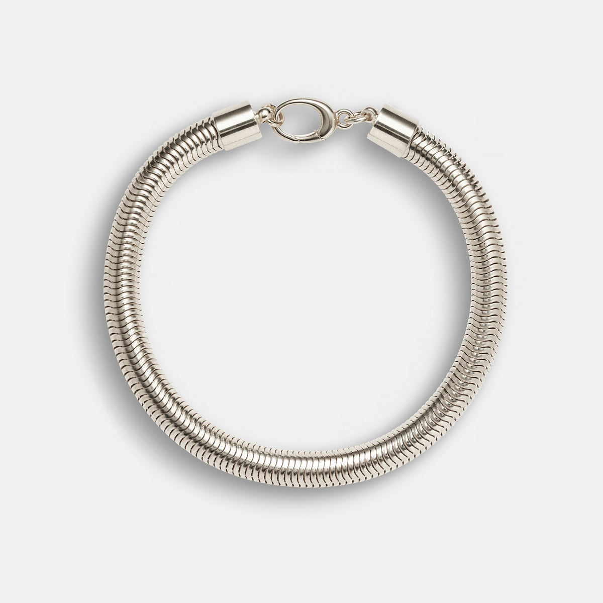 Serpentine Anklet in Silver