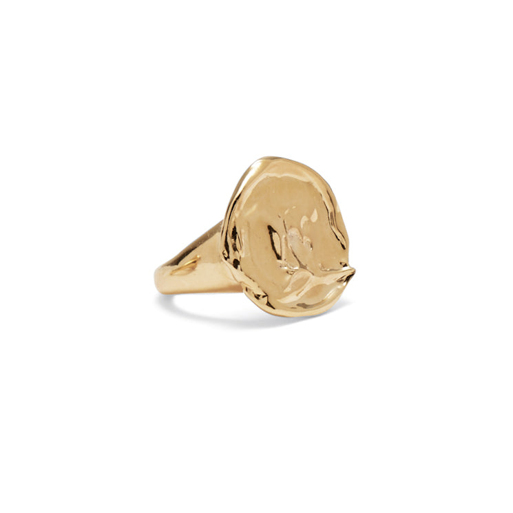 Lady Grey Jewelry Palette Signet Ring in Gold