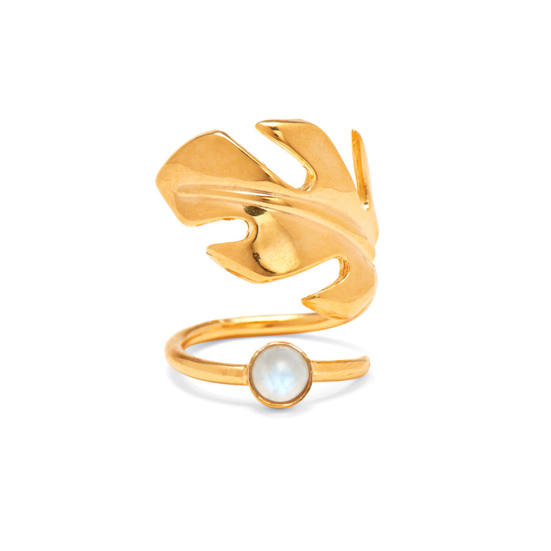 Lady Grey Jewelry Stera Moonstone Ring in Gold