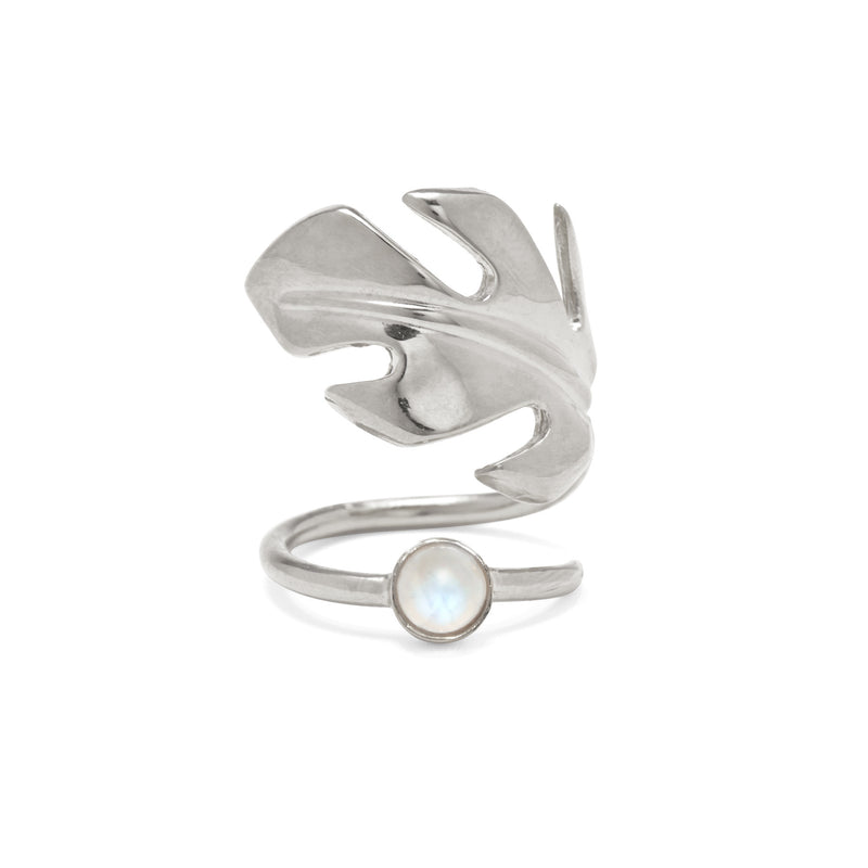 Lady Grey Jewelry Stera Moonstone Ring in Silver