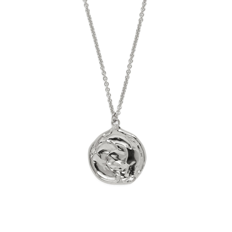 Lady Grey Jewelry Palette Necklace in Rhodium