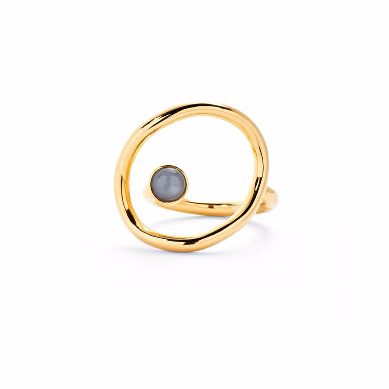 Lady Grey Jewelry Revolve Ring in Gold